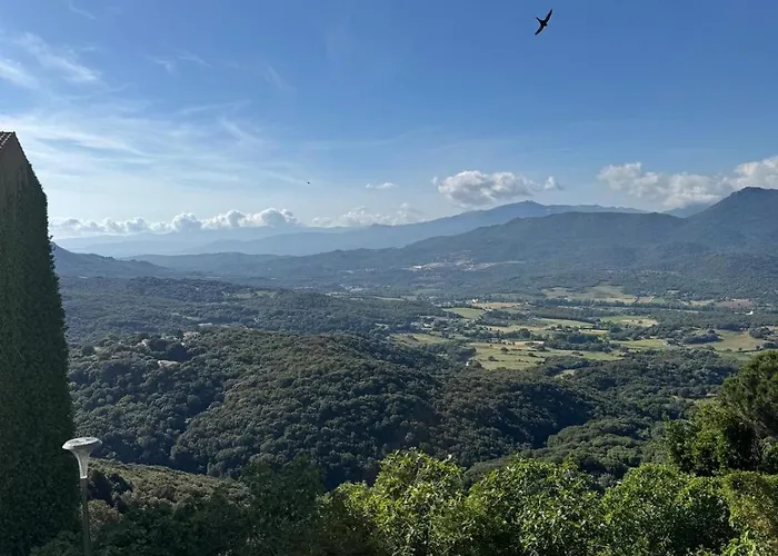 Studio * 萨尔泰纳